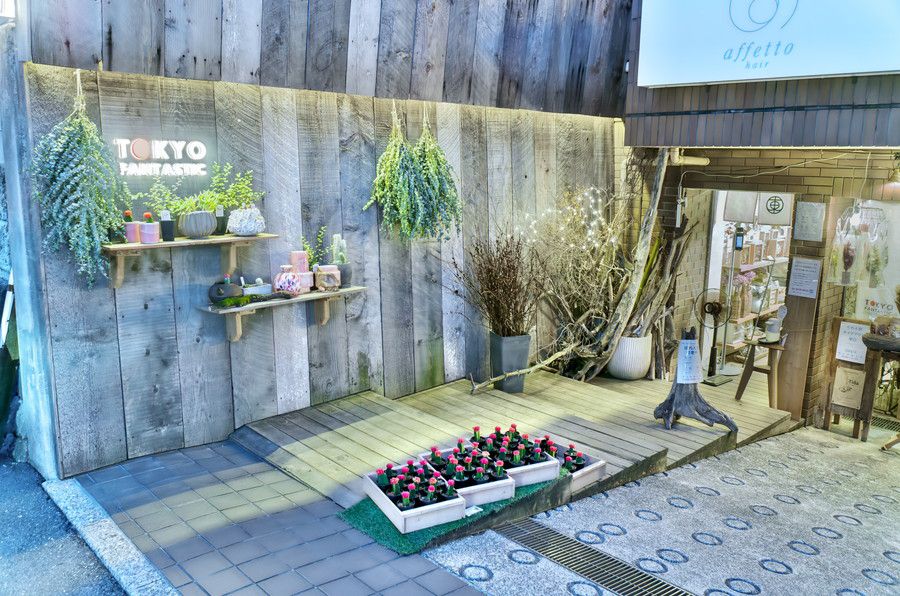 TOKYO FANTASTIC(東京ファンタスティック) 表参道店（南青山・本店）のエントランス