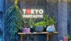 TOKYO FANTASTIC(東京ファンタスティック) 表参道店（南青山・本店）の看板