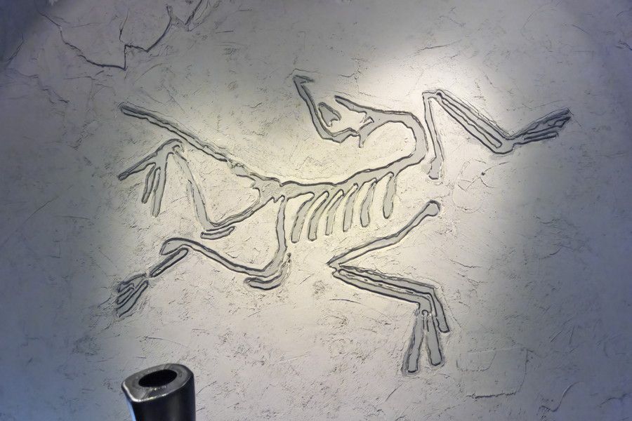 アークテリクス 銀座の店内の始祖鳥ロゴ