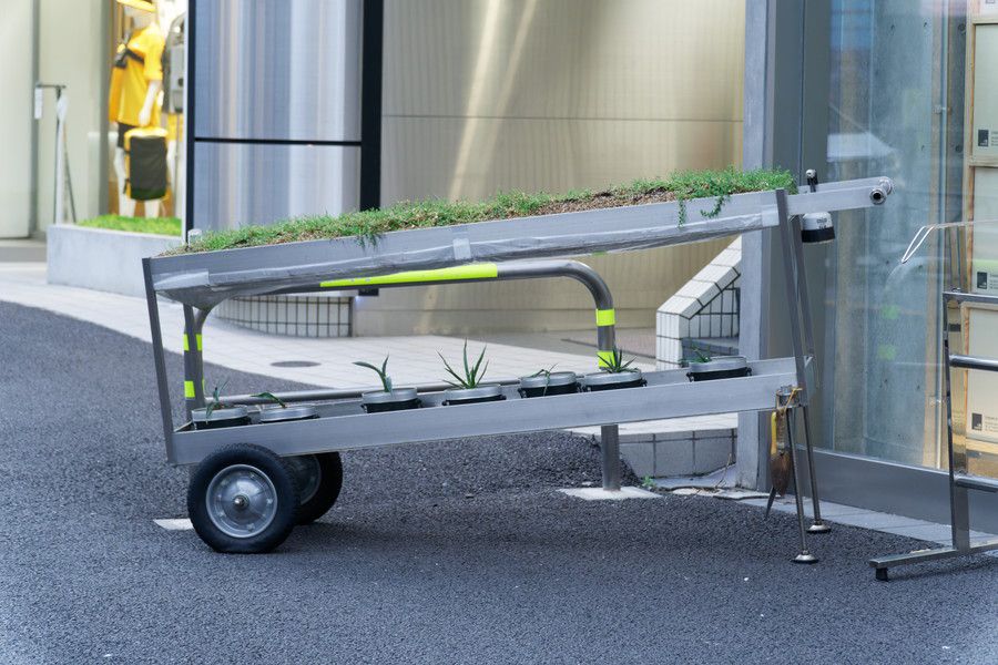 THE NORTH FACE STANDARD(ザ・ノース・フェイス スタンダード) 原宿のボタニカル(植物)