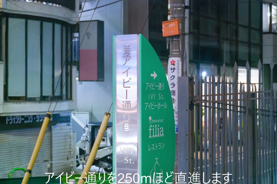 アイビー通りを250mほど直進します