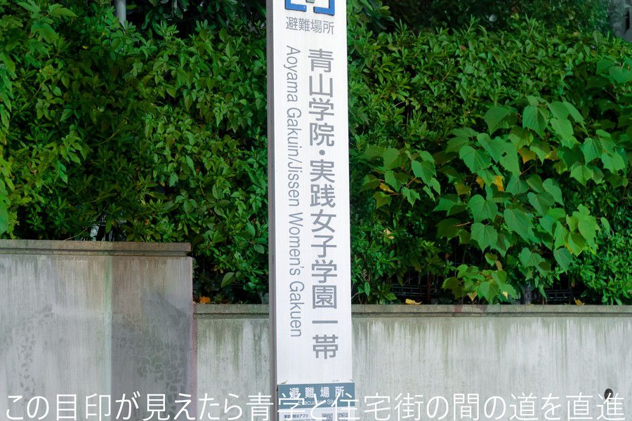 この目印が見えたら青学と住宅街の間の道を直進