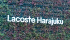 Lacoste(ラコステ) 原宿の店舗のロゴ看板