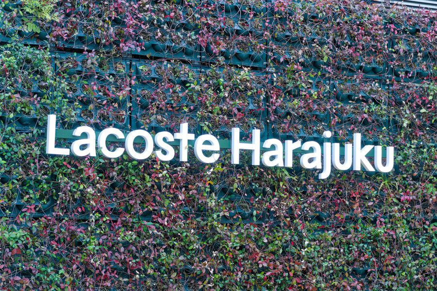 Lacoste(ラコステ) 原宿の店舗のロゴ看板