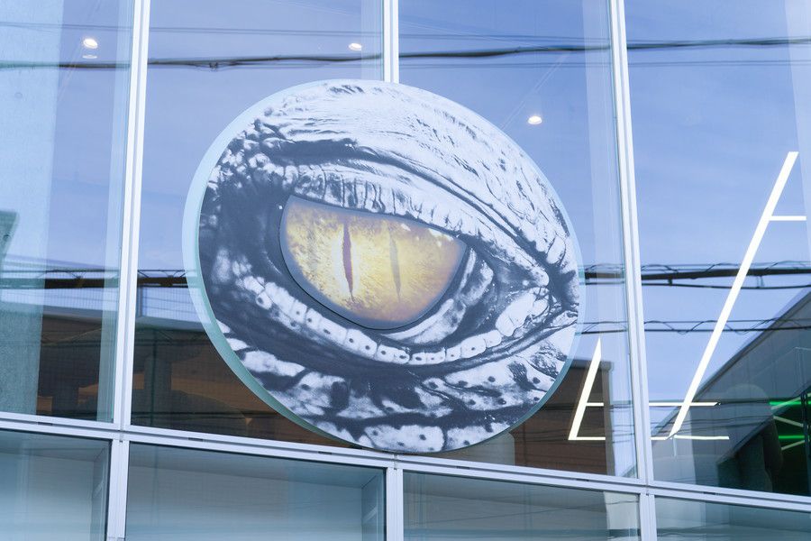 Lacoste(ラコステ) 原宿のアリゲーターの目をモチーフにしたパネル