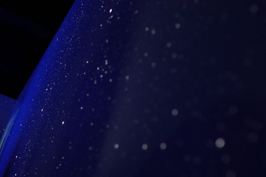 LAFORET STARRY NIGHT (ラフォーレ スターリーナイト)