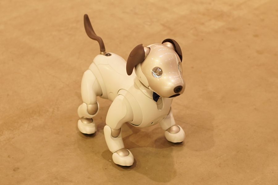 SONY aibo ソニー アイボ
