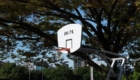 ALLDAY 2019 バスケットボール@代々木公園