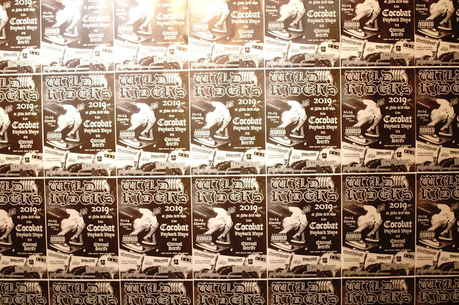 NIKE sbdojo FPAR DUNK 「WILD RIDERS 2019」フライヤー