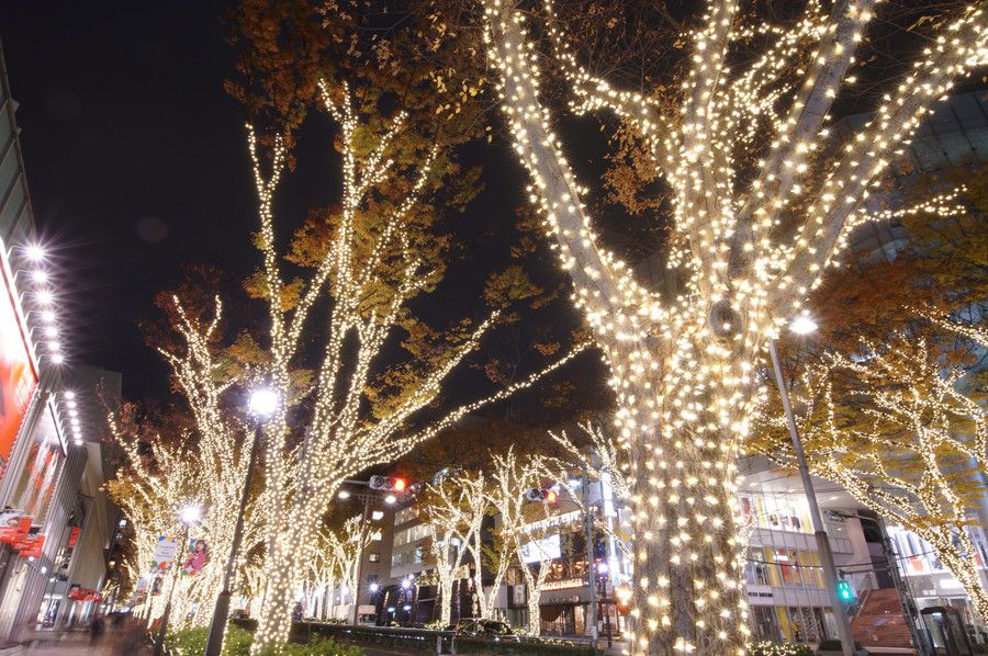 表参道 ルミネーション 2019 マジックイルミネーション