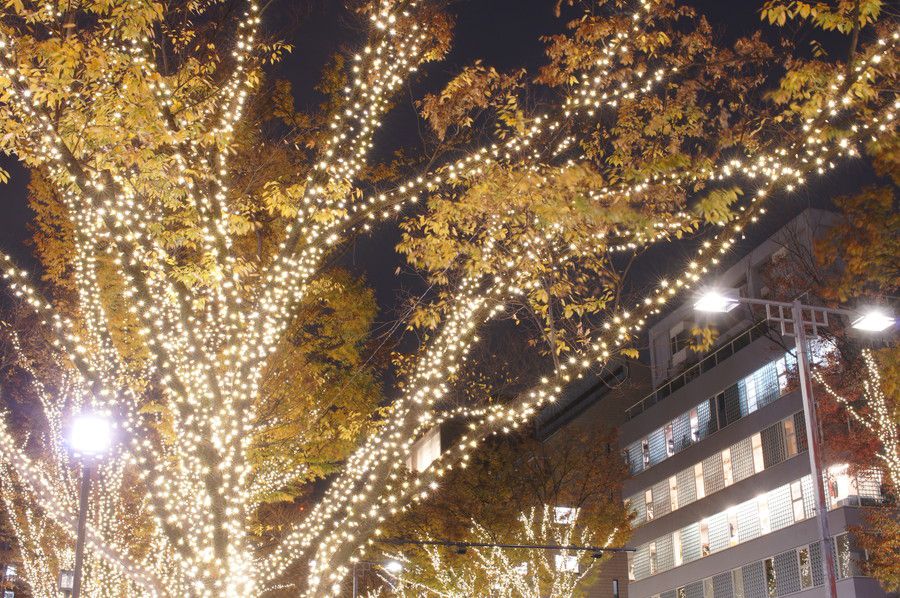 表参道 ルミネーション 2019 マジックイルミネーション