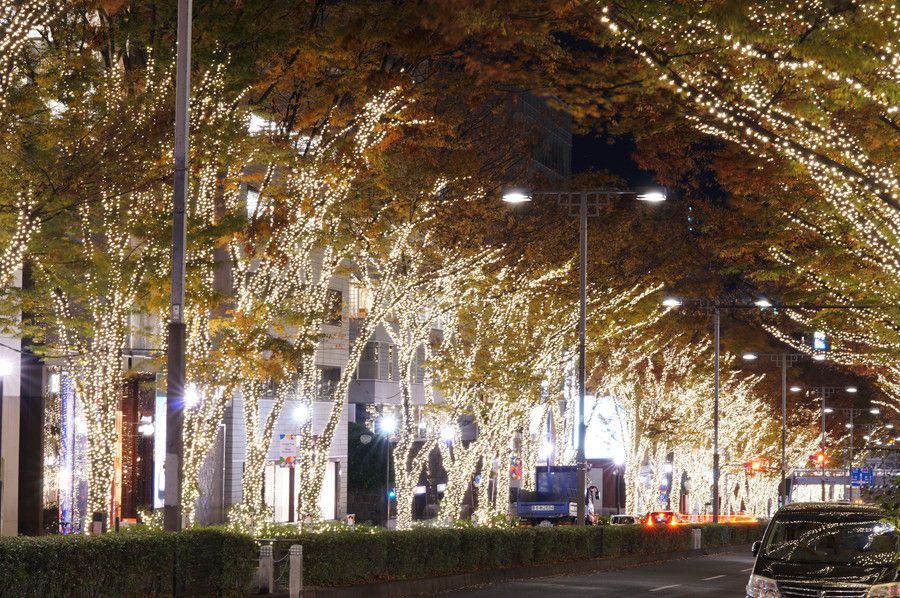 表参道 ルミネーション 2019 マジックイルミネーション