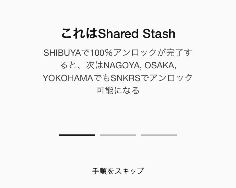 snkrs stash