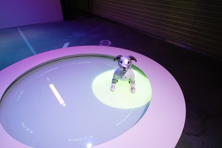 SONY ソニー aibo アイボ 感情の動き