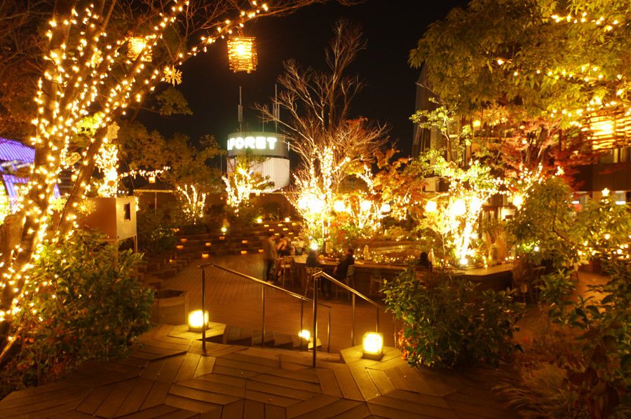 東急プラザ表参道原宿 イルミネーション OMOHARA Illumination