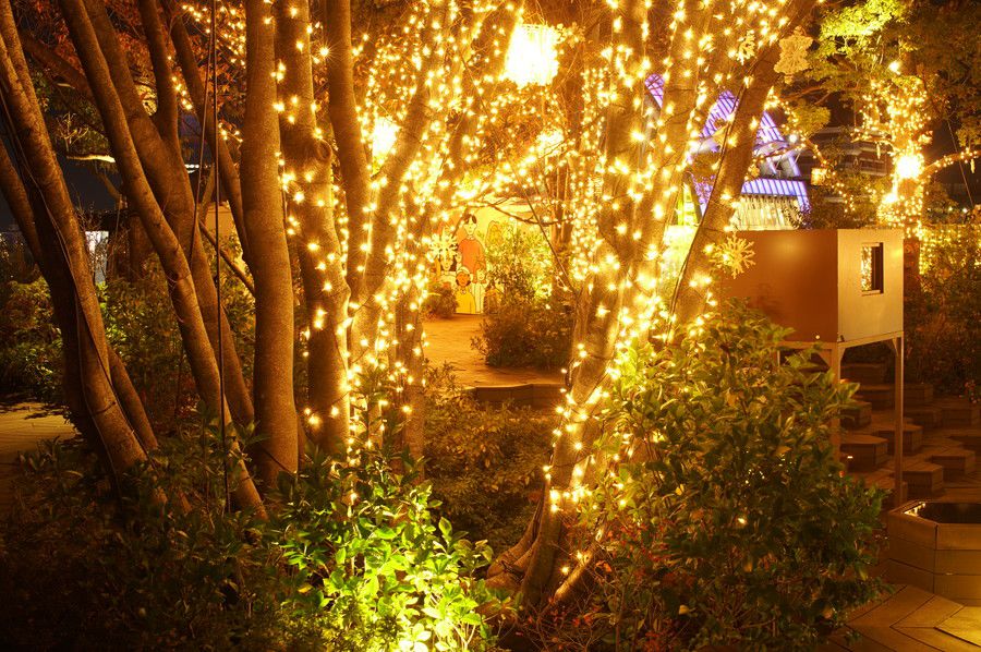 東急プラザ表参道原宿 イルミネーション OMOHARA Illumination