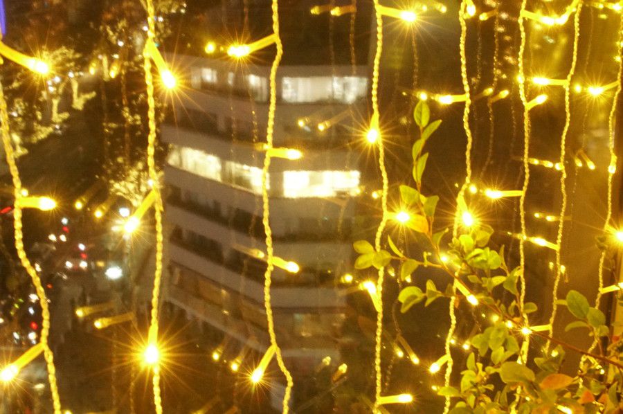 東急プラザ表参道原宿 イルミネーション OMOHARA Illumination