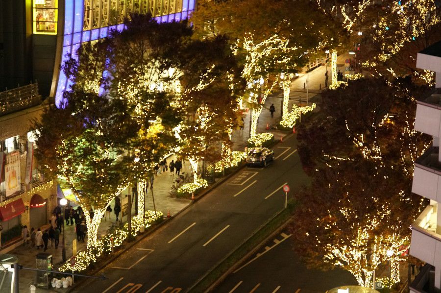 東急プラザ表参道原宿 イルミネーション OMOHARA Illumination