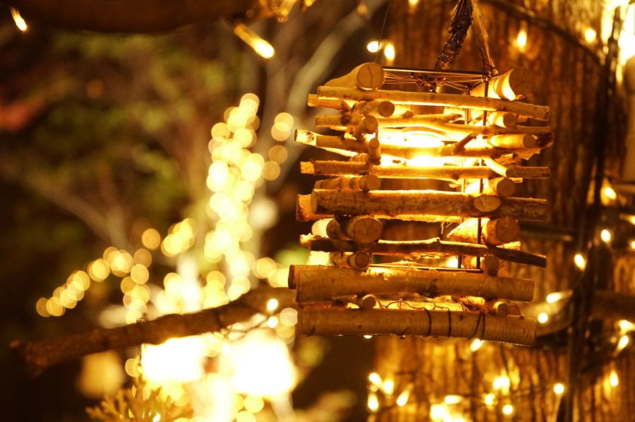 東急プラザ表参道原宿 イルミネーション OMOHARA Illumination