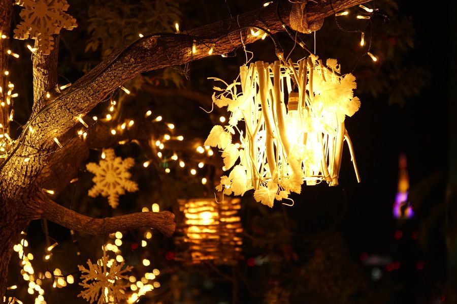 東急プラザ表参道原宿 イルミネーション OMOHARA Illumination