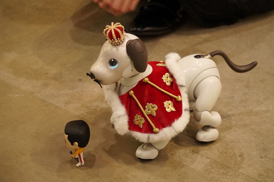AIBO (アイボ) QUEENバージョン
