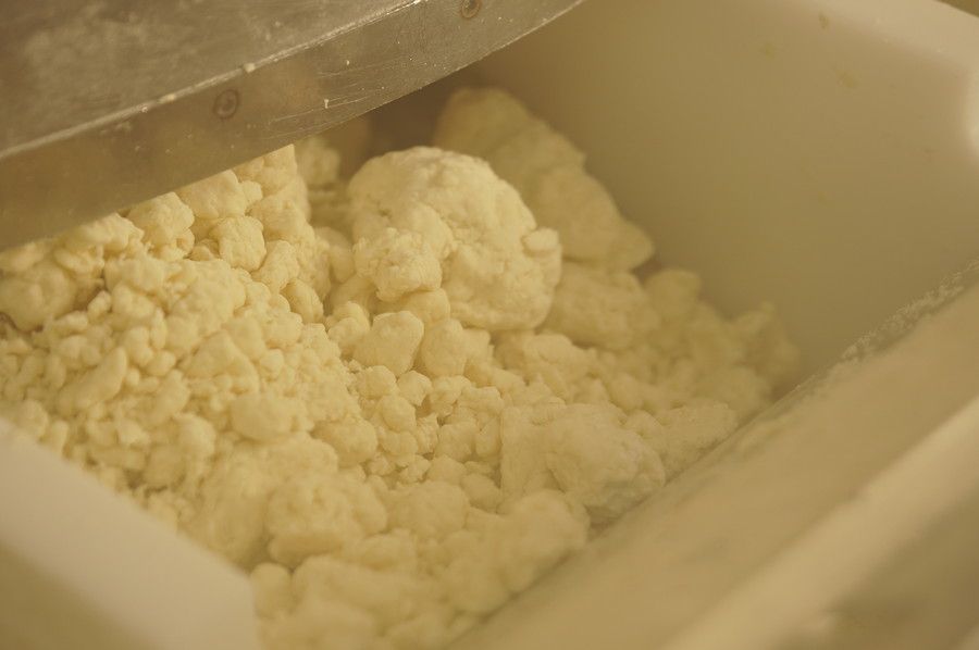 江戸玉川屋 製麺工場 湯捏 工程